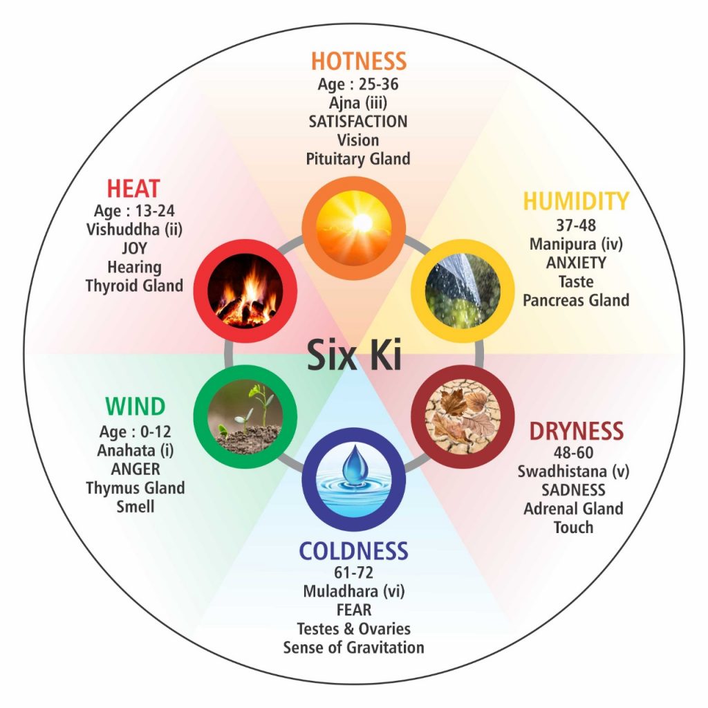 Constitutional Treatment In Sujok Therapy -Part 1