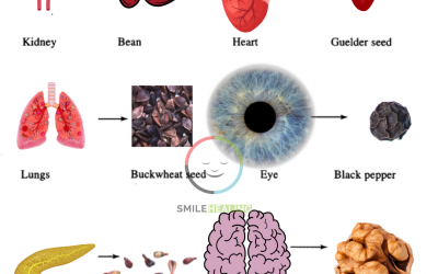 Seed Therapy in Sujok