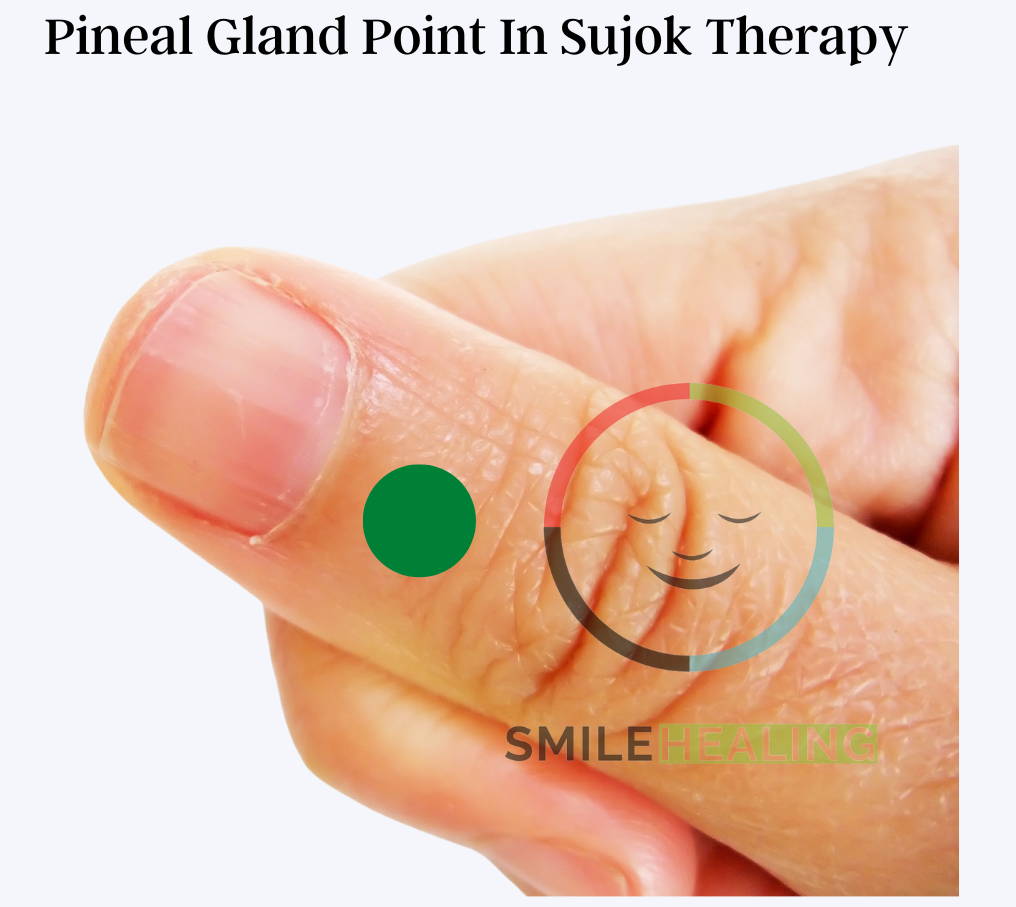 pineal gland sujok